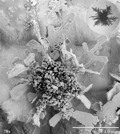 25 Microscopic Images Of Snow Crystals Twistedsifter