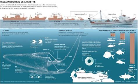 La Pesca Industrial Todos Los Métodos De Extracción Espesca