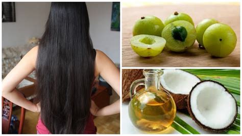 It has played a key role in nurturing and fulfilling dreams of thick and why make amla hair oil at home? Amla oil for hair growth | Black, Shiny and Thicker hair ...