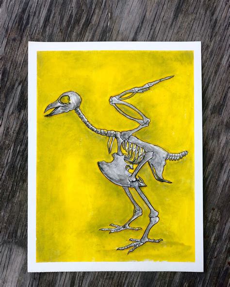 Artstation Drawing Bird Skeleton