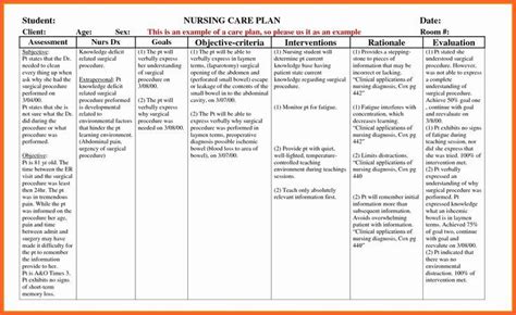 Example Care Plan Template For Elderly Nursing Home