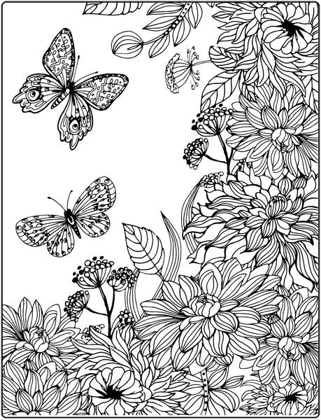Rainbow Wings Butterflies And Flowers Coloring Pdf Book