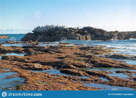 Low Tide In Laguna Beach California Stock Photo Image Of Water