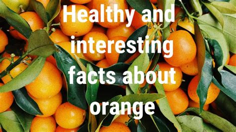 Healthy And Interesting Facts About Orange 🍊 Youtube