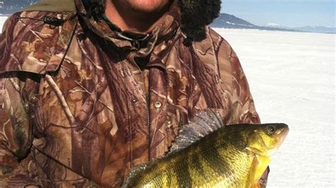 Playing Outdoors Notebook Lake Cascade Produces Two More Perch Records