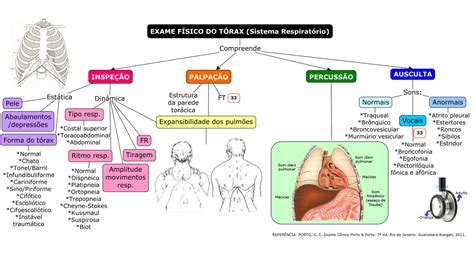 Exame F Sico Sistema Respirat Rio Mapa Mental Habilidades M Dicas