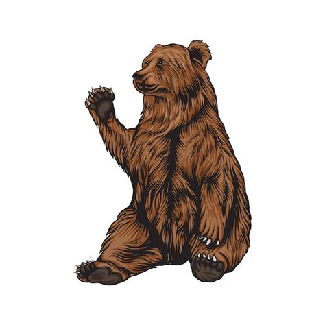 Premium Vector Grizzly Bear Illustration