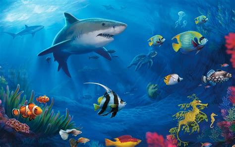 Cute Shark Wallpapers Top Free Cute Shark Backgrounds Wallpaperaccess