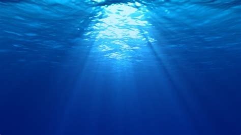 Underwater Lights | Underwater lights, Stock images free, Free vector