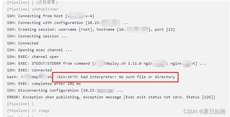 Error Exception When Publishing Exception Message Exec Exit Status