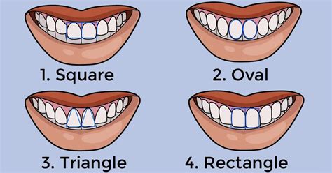 Shape Of Your Teeth Reveals A Lot About Your Personality Neopress