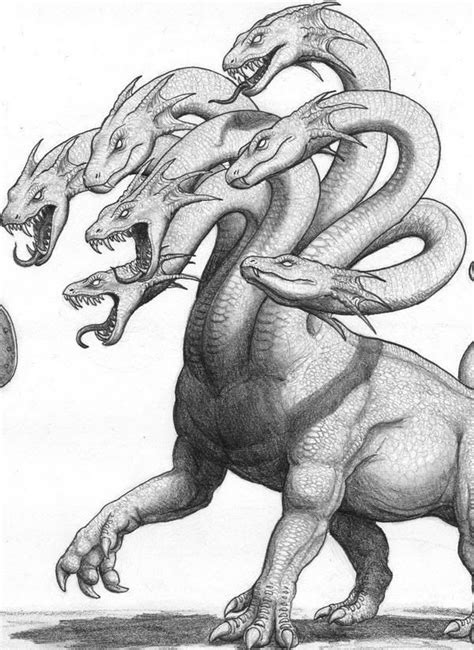 Hydra Drawing 2019 Mythical Creatures Art Mythical Monsters
