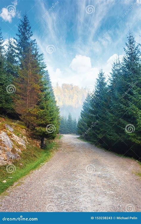 Gravel Road Through Forest In Mountains Stock Image Image Of Light