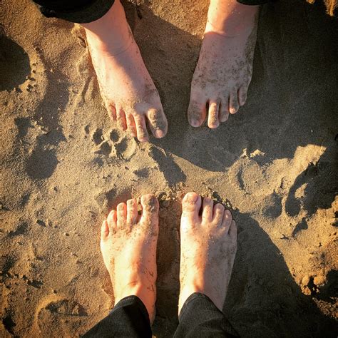 Free Images Hand Beach Sand Feet Leg Finger Foot Human Body