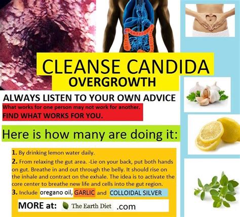 cleanse candida overgrowth the earth diet in 2020 candida overgrowth candida yeast candida