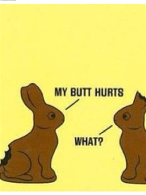 Lol Chocolate Bunnies Chocolate Bunny Funny Pictures Funny