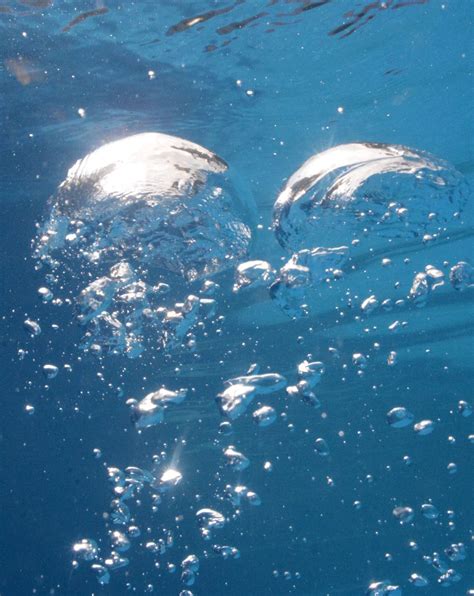 Tips For Doing Fine Art Underwater Bubble Photography Artofit