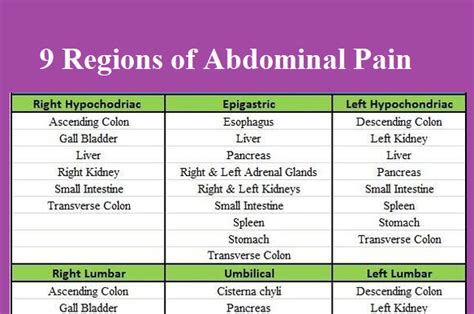 9 Regions Of The Abdominal Pain Medical Estudy