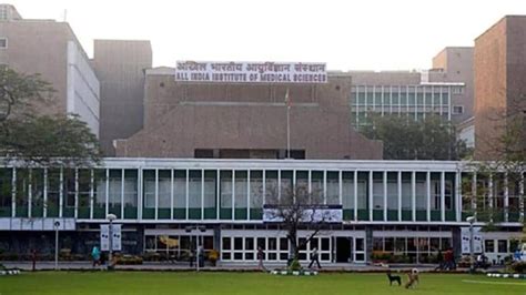 AIIMS Releases BSc H Nursing Admit Card 2022 Bsccourses Aiimsexams Ac In