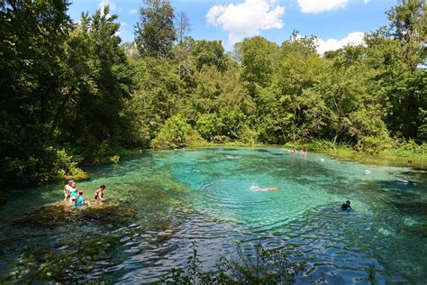 Florida Springs Are Year-Round Destinations | Florida springs, Florida travel, Florida attractions