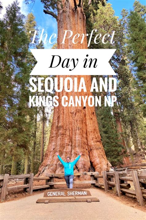 Ultimate Travel Guide Sequoia National Park And Kings Canyon Artofit