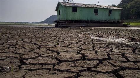 Photos Reveal The Astonishing Situation Of Brazils Worst Drought In A