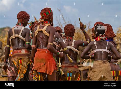 Ceremonia de salto de toros mujeres familiares bailan la tribu Hamer Etiopía Fotografía de