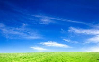 Sky Wallpapers Grass Skies Nature 1680 1050