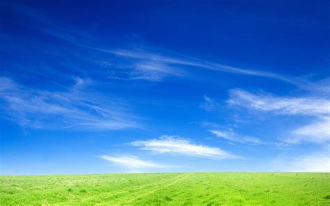 Available for hd, 4k, 5k desktops and mobile phones. Blue Sky and Green Grass Wallpapers | HD Wallpapers | ID ...