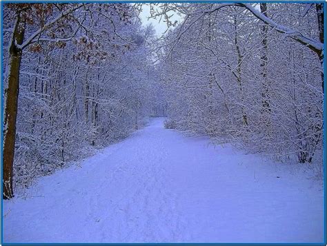 Animated Winter Scenes Screensaver Download Screensaversbiz