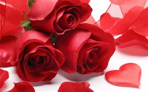 Celebrated on february 14, valentine is venerated as the patron saint of lovers. Florajet : bouquets Saint-Valentin avec -10%