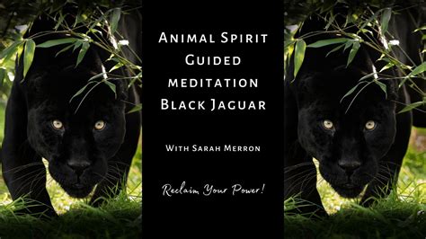 Animal Spirit Guided Meditation Black Jaguar Shamanic Meditation