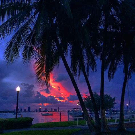 The Best Places To Watch The Sunset In Miami Florida Miami Sunset