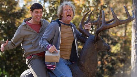 Dumb And Dumber To Hd Wallpaper Pxfuel