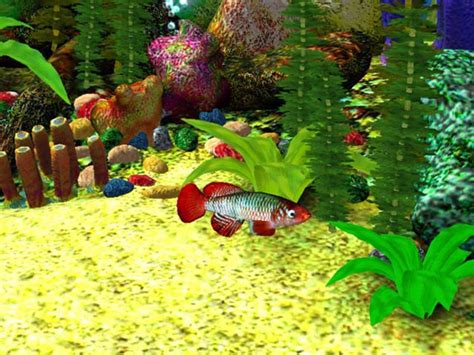 The company has released over 100 titles and is currently the most popular 3d screensaver maker on the internet. Imágenes Free 3D Aquarium Screensaver