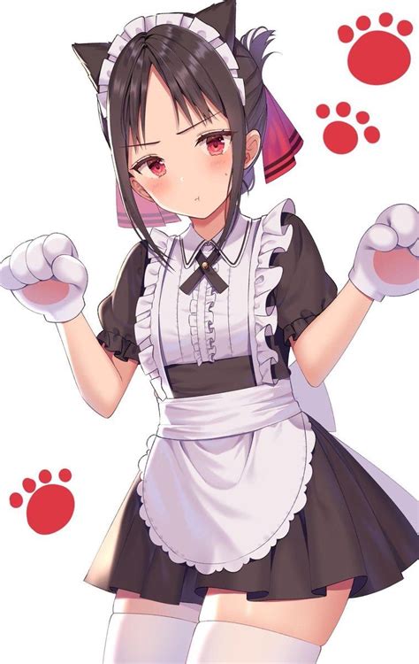 Shinomiya Kaguya Neko Girl Anime Maid Anime Neko