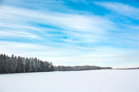 Winter Landscape With Snowy Field And Blue Sky Stock Image Image Of
