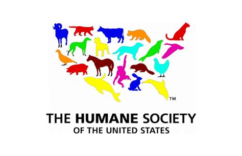 Volunteering at the Humane Society - OUTLOUD Multimedia