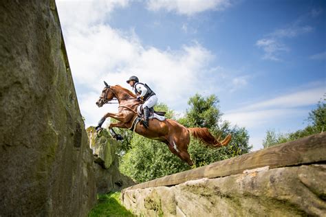 Deutschland tritt beim olympischen reitturnier im august an. CIC Aachen: Vielseitigkeit in der Soers - Jung, wer sonst?