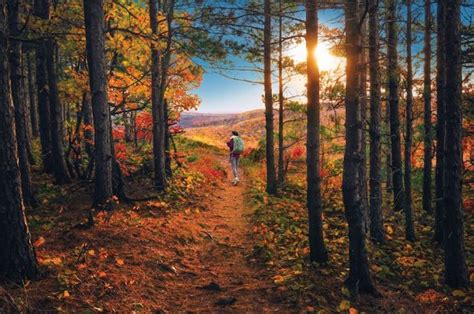 36 Beautiful Places In Michigan In The Fall Pictures Backpacker News