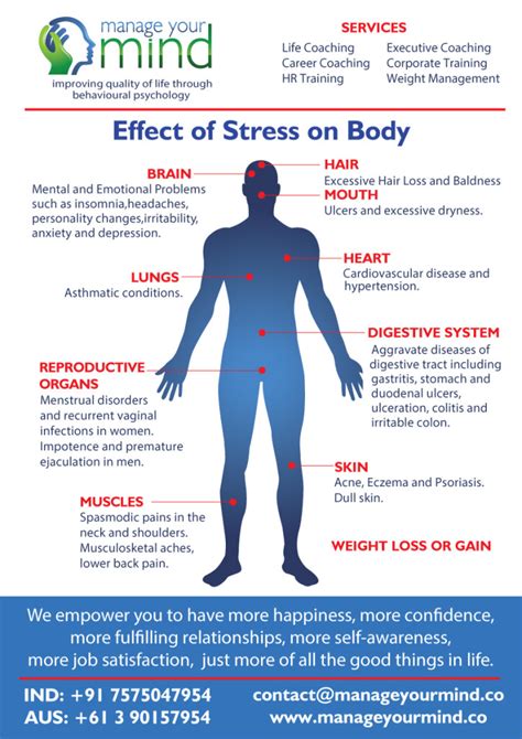 Effect Of Stress On Body Infographic