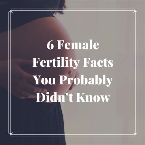 Female Fertility Facts You Probably Didnt Know Frasers Fun House