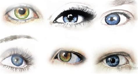 O Que O Formato Dos Seus Olhos Revela Sobre Sua Personalidade
