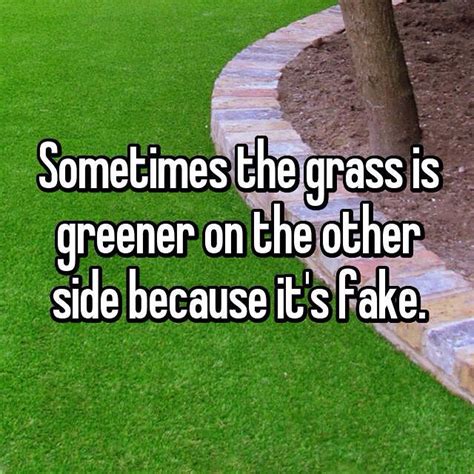 Sometimes The Grass Is Greener On The Other Side Because It Is Fake