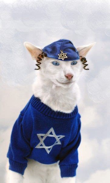 Jew Cat