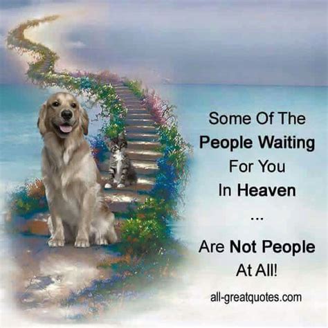 Pin By Wendy Trudeau On Dog Meme Dog Heaven Miss My Dog I Love Dogs