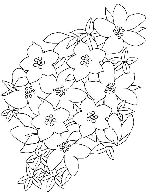 See more of miranda fiori disegni on facebook. Fiori 14, Disegni per bambini da colorare