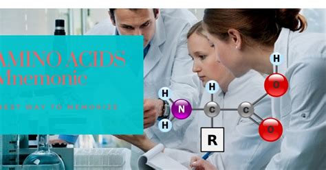 Hyaluronic acid is found mostly in your connective tissues, skin and eyes. Amino Acids Mnemonics (Easy way to Memorize) | MDCAT Guide