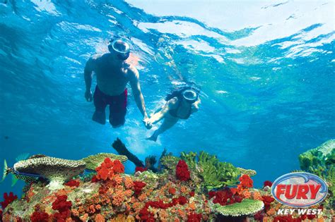 Key West Underwater