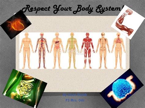 Respect Your Body System By Monica Ode Issuu